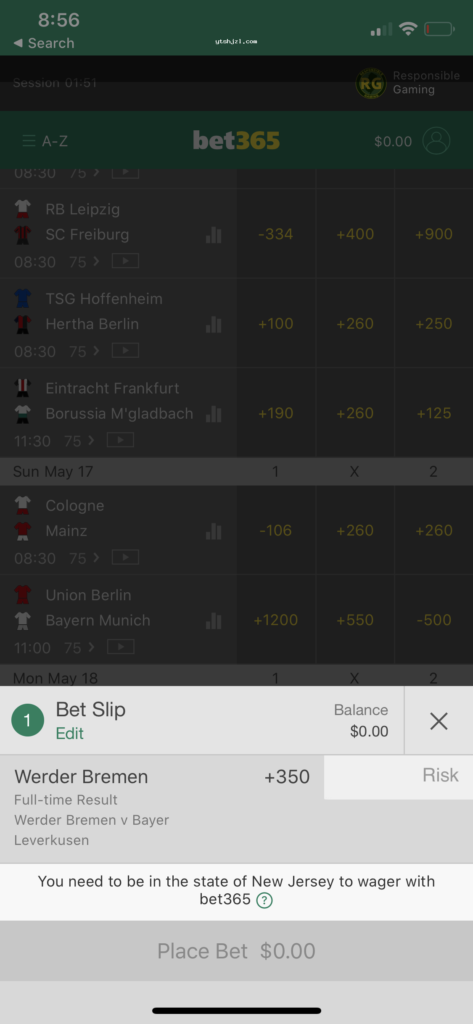 মোবাইলে bet slip যাচাই করার ধারণামূলক দৃশ্য