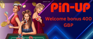 Pin Up casino related search and verification checklist